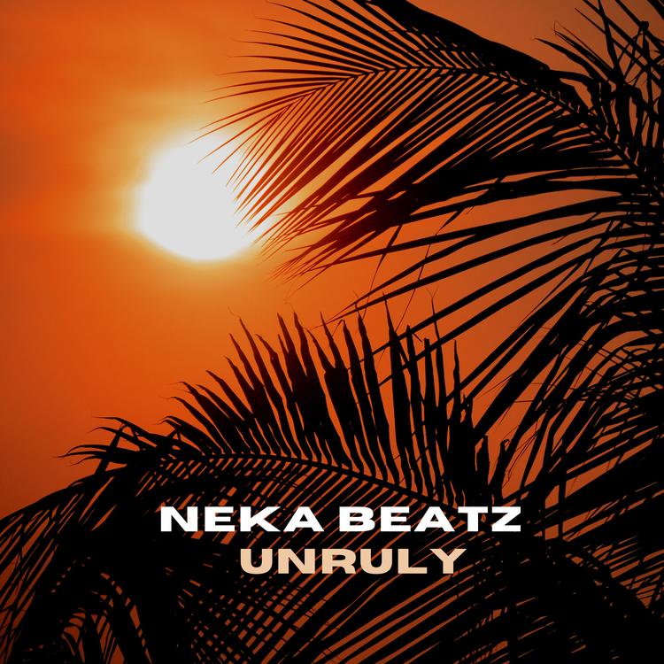 Neka beatz's avatar image