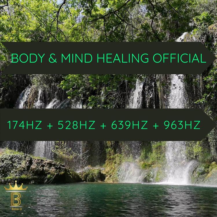 Body & Mind Healing Official's avatar image