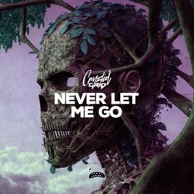 Never Let Me Go By Cryztal Grid's cover