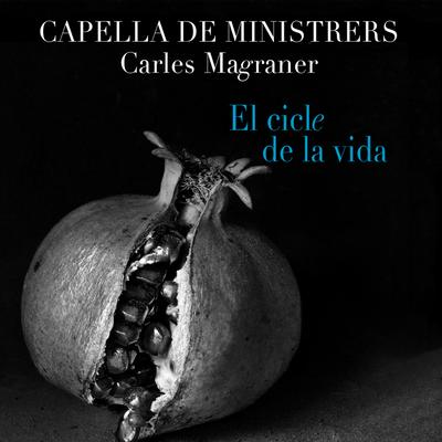 Epitafio de Seikilos By Capella de Ministrers's cover