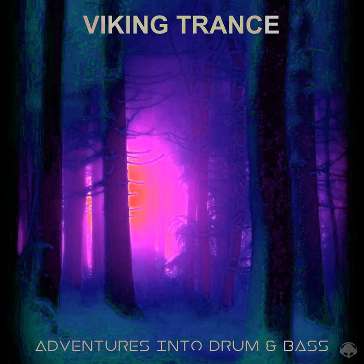 Viking Trance's avatar image