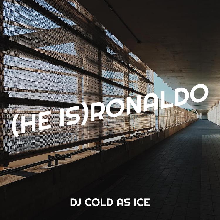 DJ COLD AS ICE's avatar image