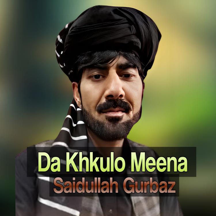 Saidullah Gurbaz's avatar image