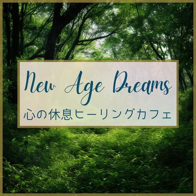 New Age Dreams's cover