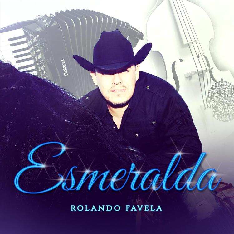 Rolando Favela's avatar image