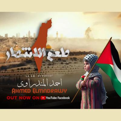 طعم الانتصار - حدوتة كل اطفال فلسطين's cover