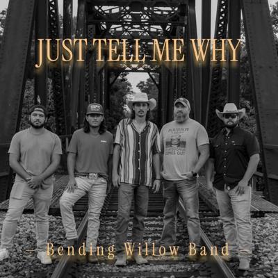 Just Tell Me Why's cover