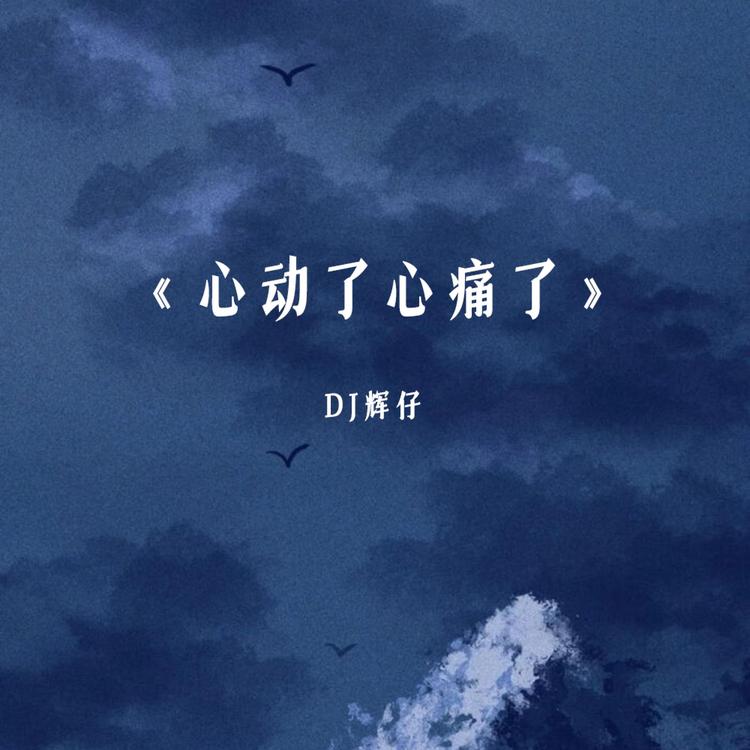 DJ辉仔's avatar image