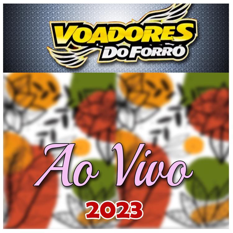 Voadores do Forró's avatar image