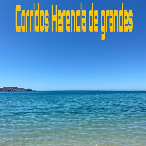 #herenciadegrandes's cover