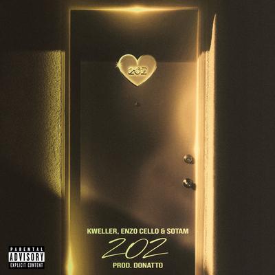 202 (Remix)'s cover