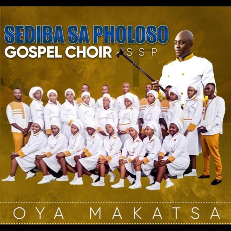 Sediba Sa Pholoso Gospel Choir's avatar image