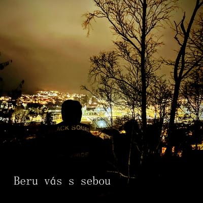 Beru vás s sebou (Studio Session)'s cover