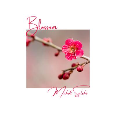 Blossom By Mahdi Salehi's cover