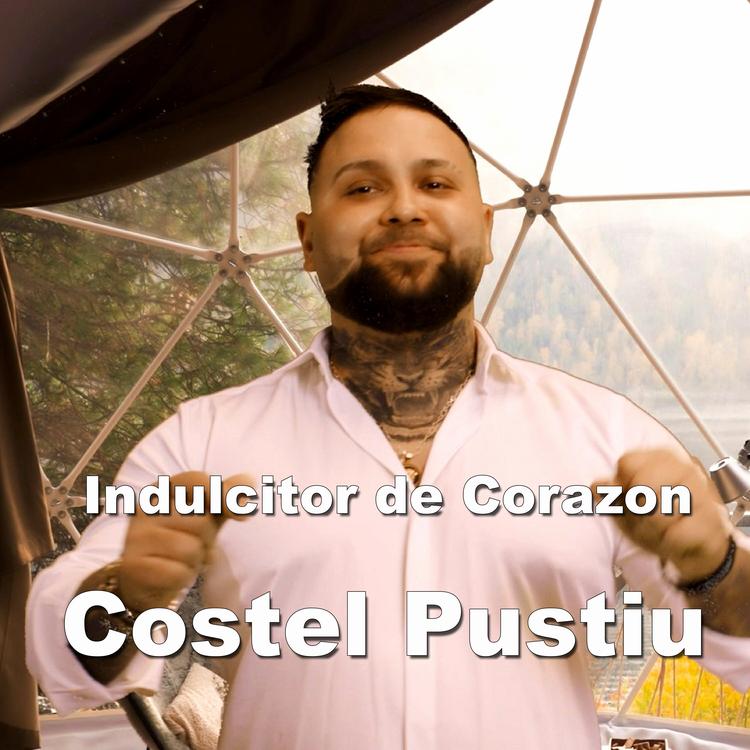 COSTEL PUSTIU's avatar image