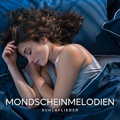 Schlaflieder's cover