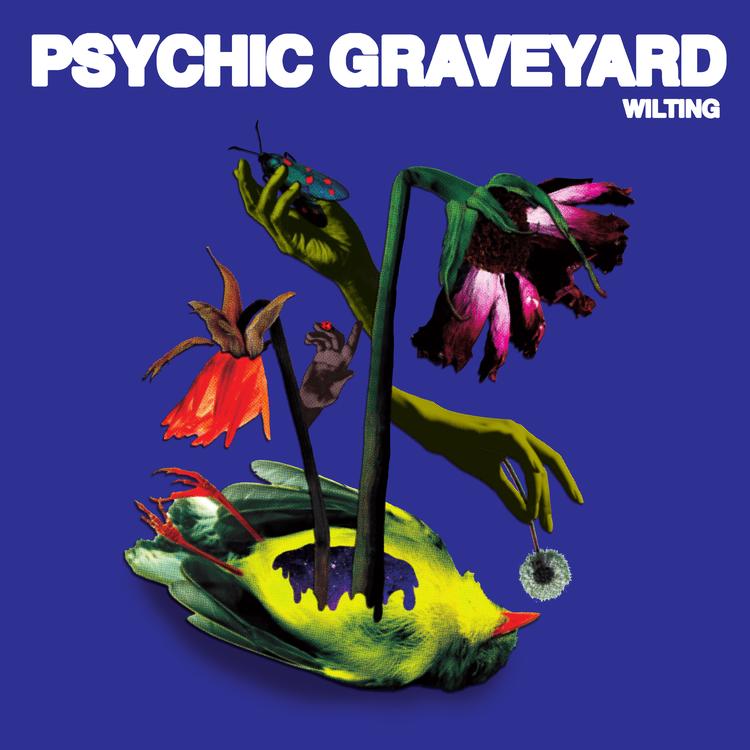 Psychic Graveyard's avatar image