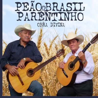 Por Amor , a Gente Chora By Peão Brazil & Parentinho's cover