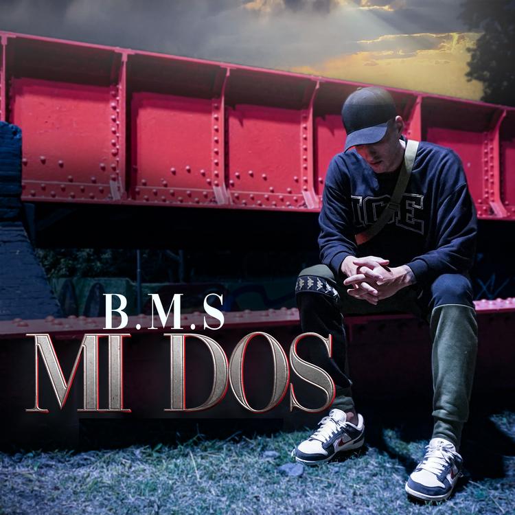 B.M.S's avatar image