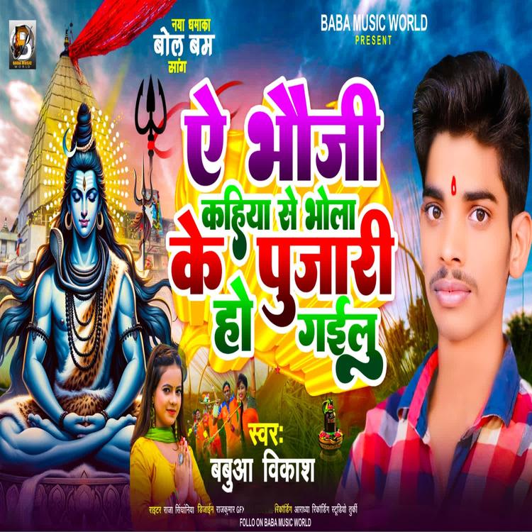 Babua Vikash's avatar image