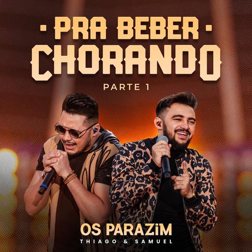 Os parazim e os melhores's cover