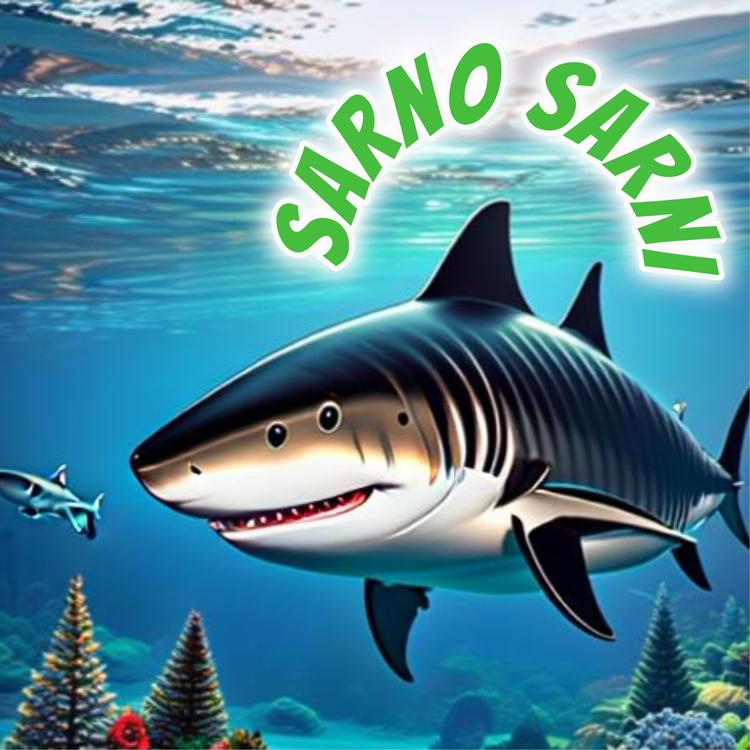 Sarno Sarni's avatar image
