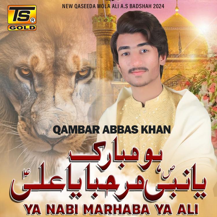 Qambar Abbas Khan's avatar image