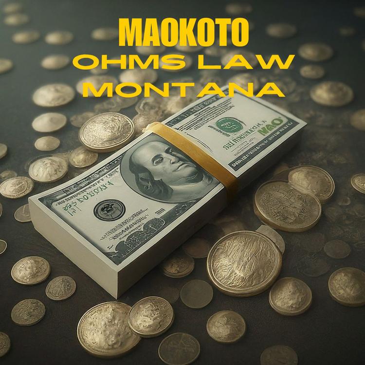 Ohms Law Montana's avatar image