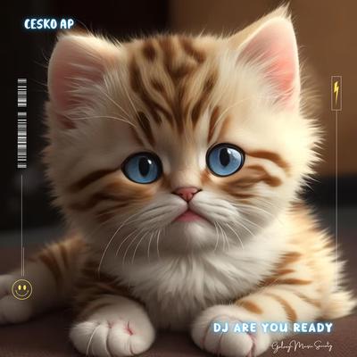 DJ Are You Ready's cover