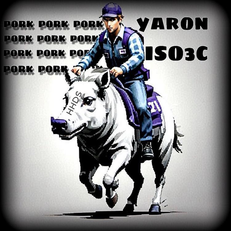 Yaron's avatar image