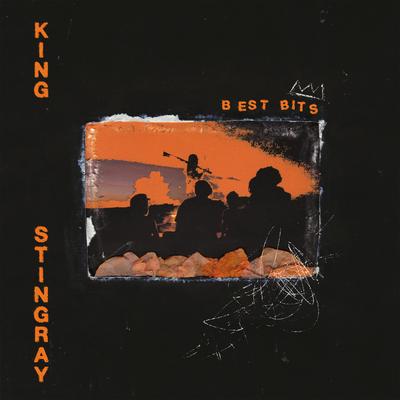 Best Bits By King Stingray's cover