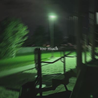 Too Much's cover