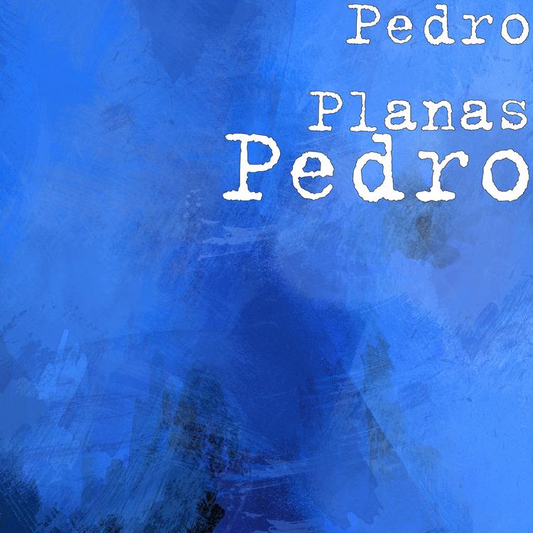 Pedro Planas's avatar image