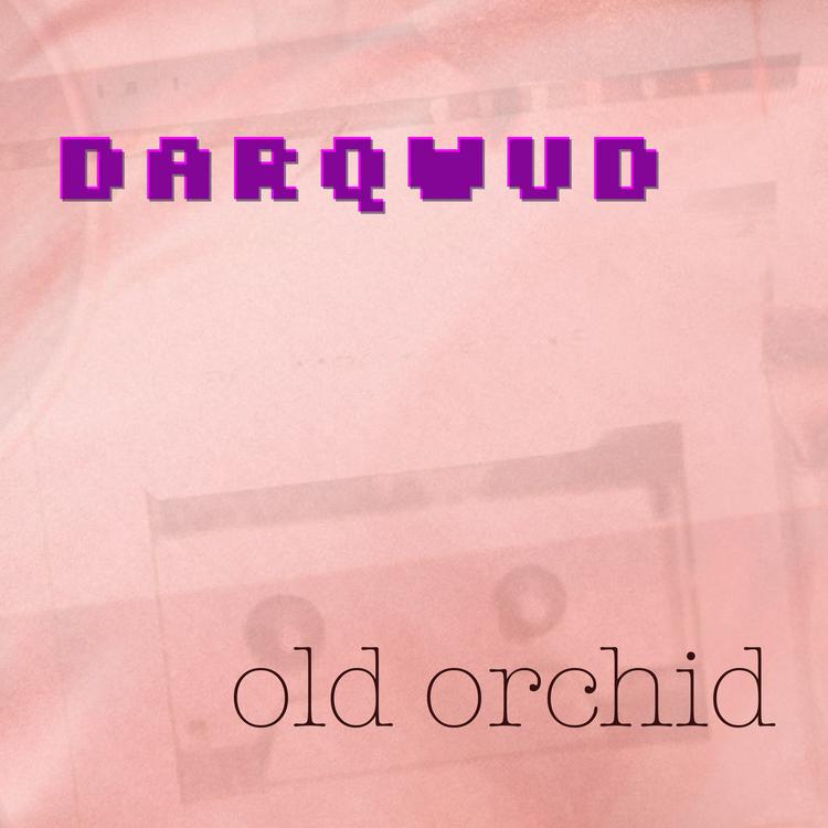 darqwud's avatar image