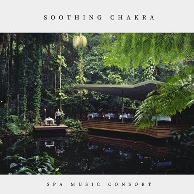 Spa Music Consort's cover