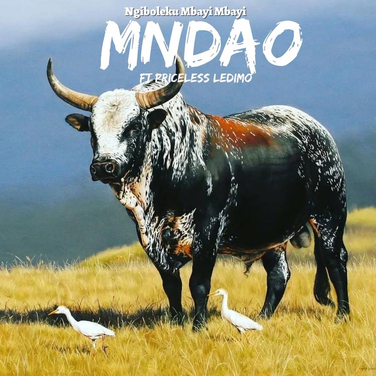 Mndao's avatar image