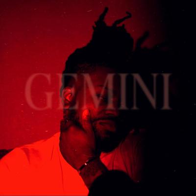Gemini's cover
