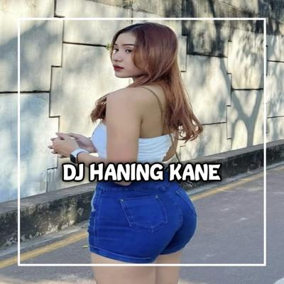 DJ Haning's cover