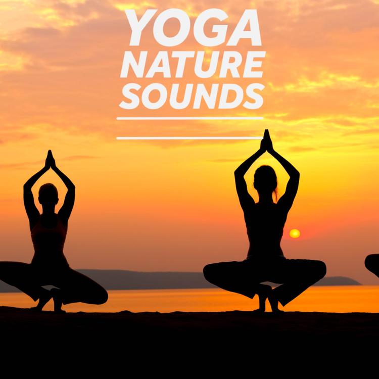 Yoga Nature Sounds's avatar image