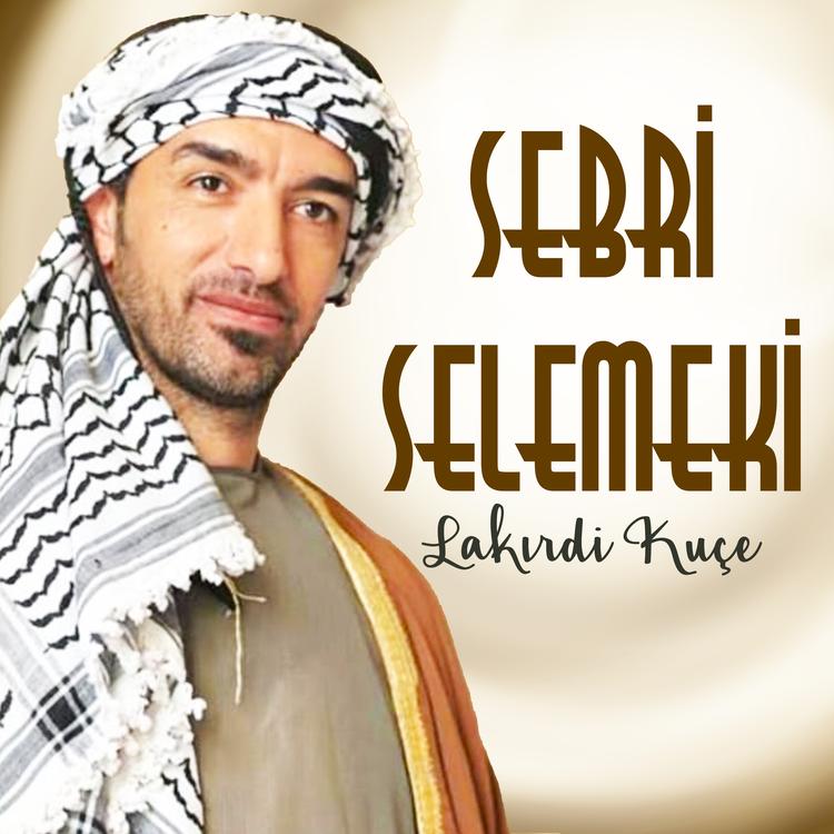 Sebri Selemeki's avatar image