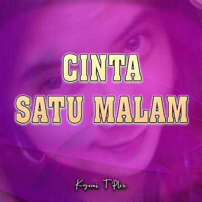 Cinta Satu Malam (Remix)'s cover