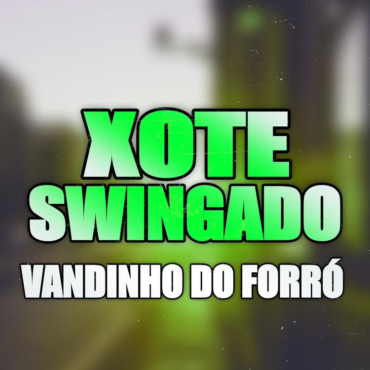 Vandinho Do Forró's avatar image