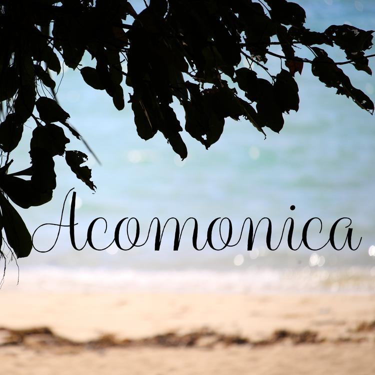 Acomonica's avatar image