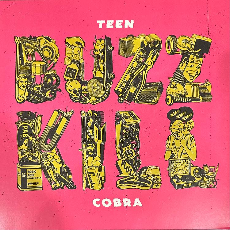 Teen Cobra's avatar image