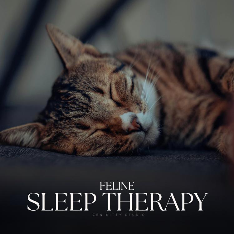 Calm Cat Music's avatar image