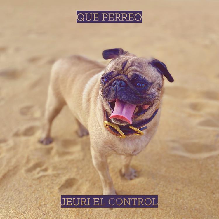 Jeuri El Control's avatar image