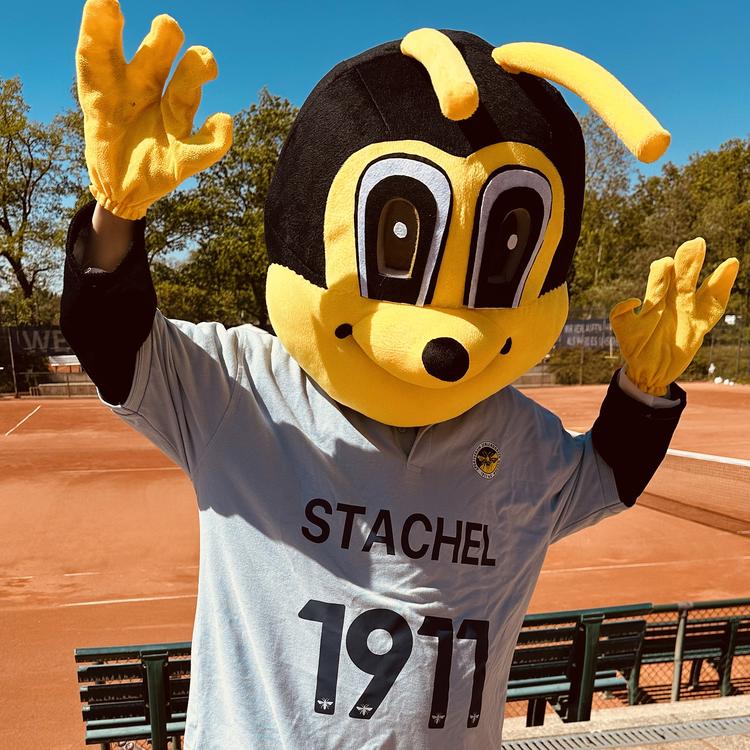 Stachel's avatar image