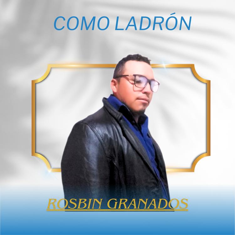 Rosbin Granados's avatar image