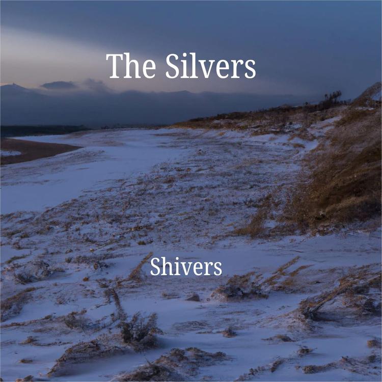 The Silvers's avatar image