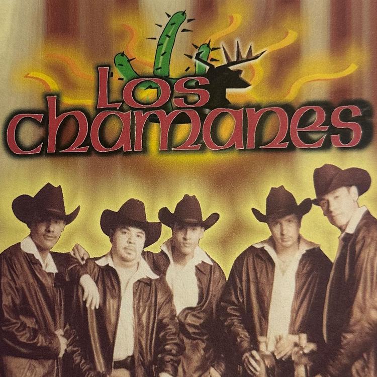 Los Chamanes's avatar image